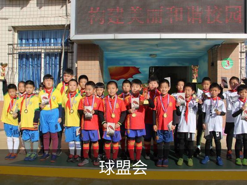球盟会概况